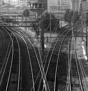 Now, which way to I go today?